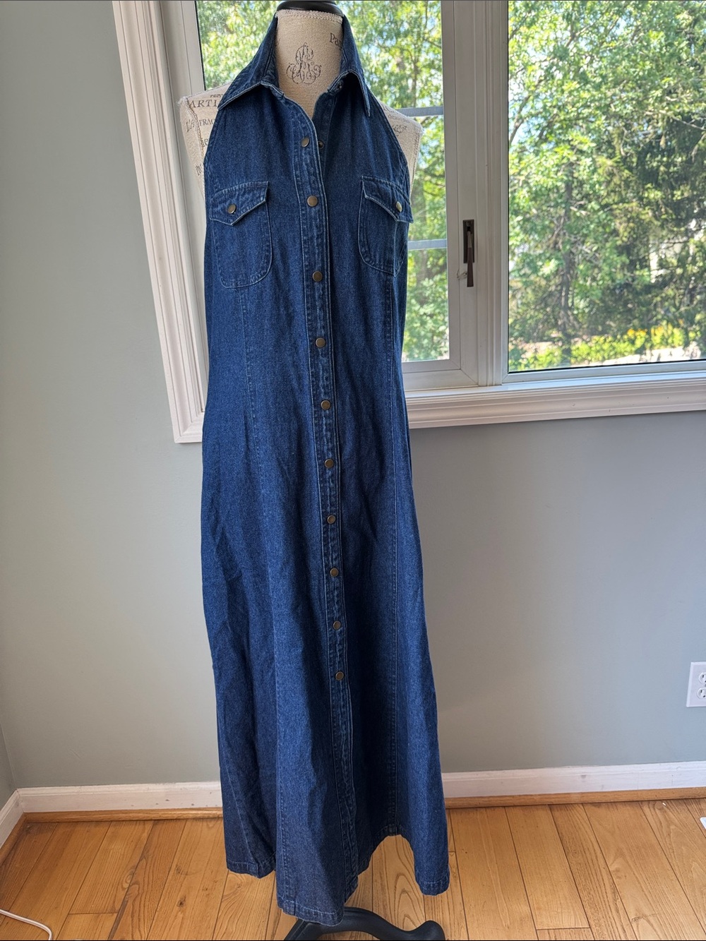 Blue Denim Button-Front Maxi Dress - Picture 5 of 11